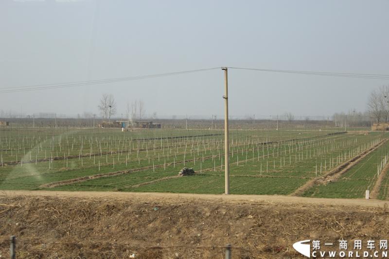 在山海关服务区稍作休整后，奔驰卡车继续南下。图为沿途风景，已见到绿地，看来春天不远了。