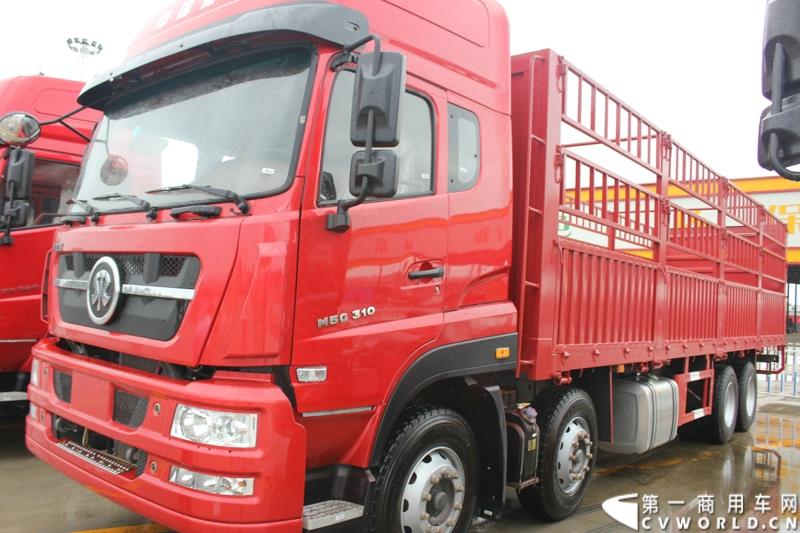 9月1日，以“全新升级·创富利器”为主题的2015中国重汽曼技术新斯太尔创富品鉴会，在河北衡水盛大举行。这是继邯郸、济宁站后，中国重汽再次携“创富者联盟”项目走进河北。图为：DM5G 8X4载货车