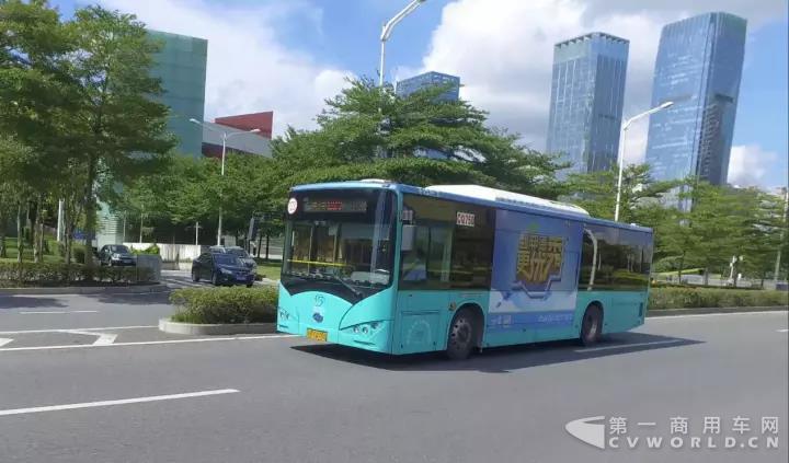 保有量全球第一 深圳公交即将实现100%电动化2.jpg