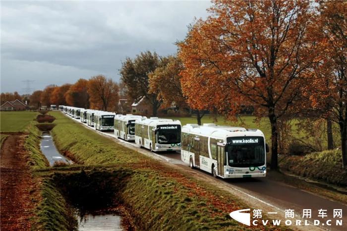 当地时间12月13日，比亚迪向欧洲公共交通运营商凯奥雷斯集团（Keolis）荷兰分公司正式交付全欧洲最大规模的纯电动大巴车队。此订单合计259辆，首批246辆将投入该国艾塞尔-维赫特地区运营，线路覆盖荷兰东部及中部区域，贯穿兹沃勒、阿珀尔多伦和埃德等多个城市，其余13辆大巴将按原计划于2021年春季陆续投入运营。